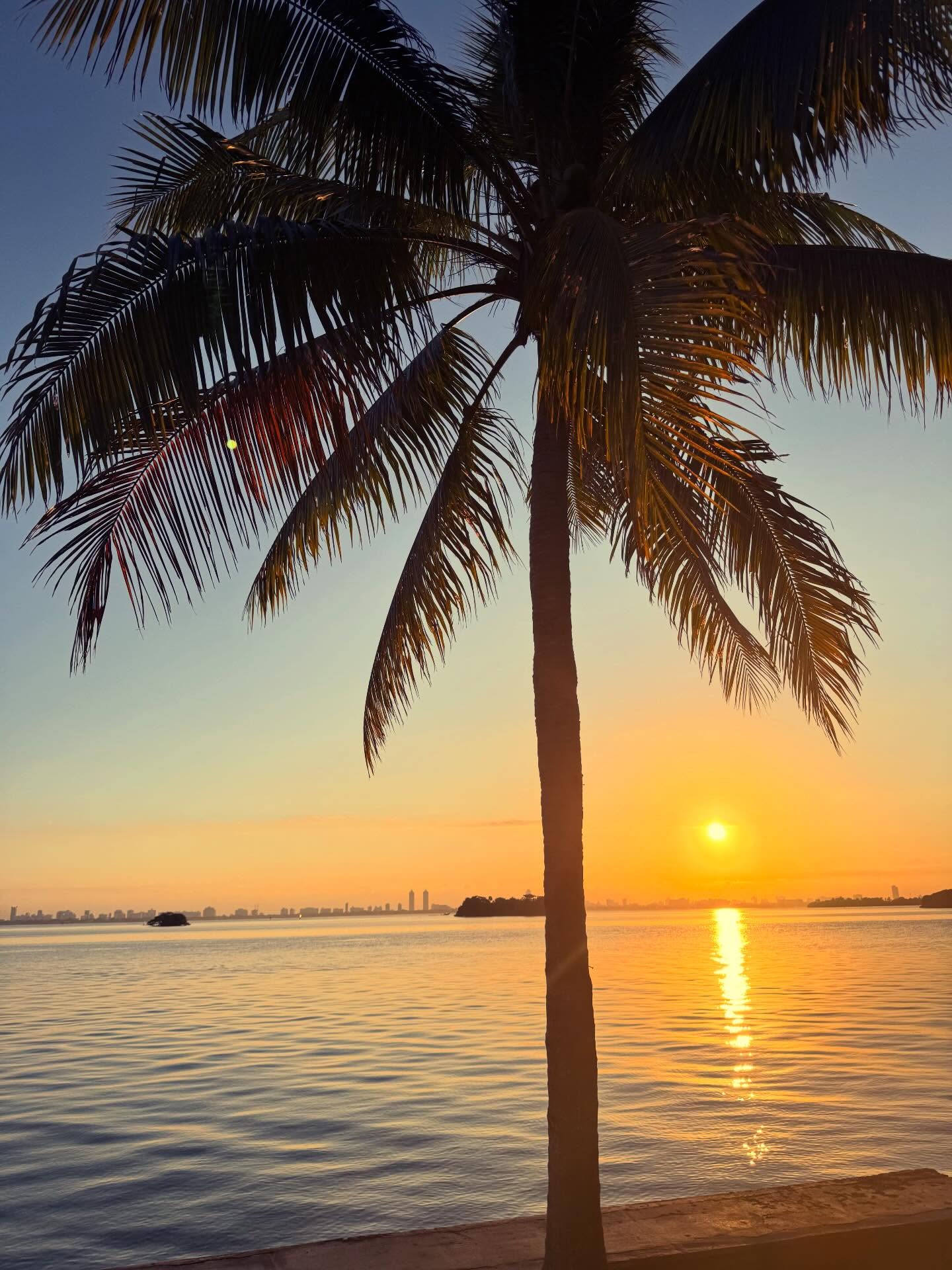 601208504_18416244211184120_4023650892907122738_n